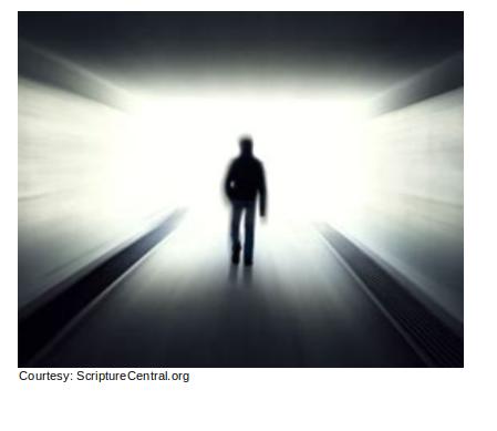 Your Programming Afterlife