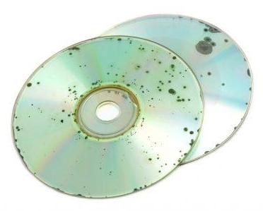 Disc Rot